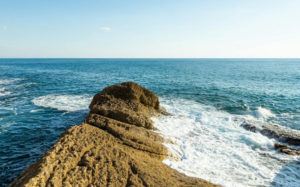 Mastering UK Campsite Pest Control: Expert Tips for Effectively Handling Wasps and Ants